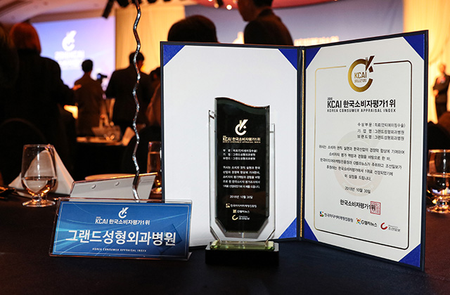 2018 KCAI (Korean Consumer Appraisal Index)